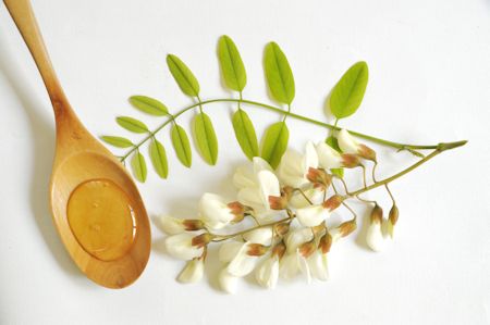 Acacia Honey Flowers